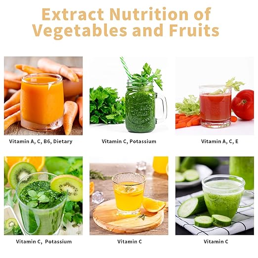 Vpcok Direct Slow Juicer Juicer Vegetable and Fruit with 2 Speeds & Reverse Function & Juice Jug & Cleaning Brush (Reusable), Black