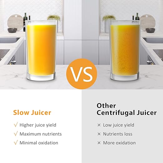 Vpcok Direct Slow Juicer Juicer Vegetable and Fruit with 2 Speeds & Reverse Function & Juice Jug & Cleaning Brush (Reusable), Black