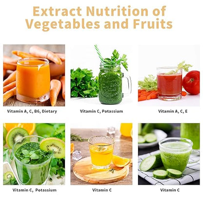 Vpcok Direct Slow Juicer Juicer Vegetable and Fruit with 2 Speeds & Reverse Function & Juice Jug & Cleaning Brush (Reusable), Black